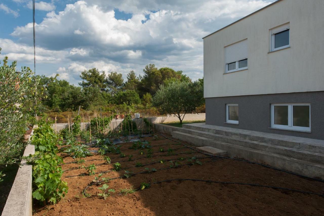 Villa Karla Debeljak - Zadar Extérieur photo
